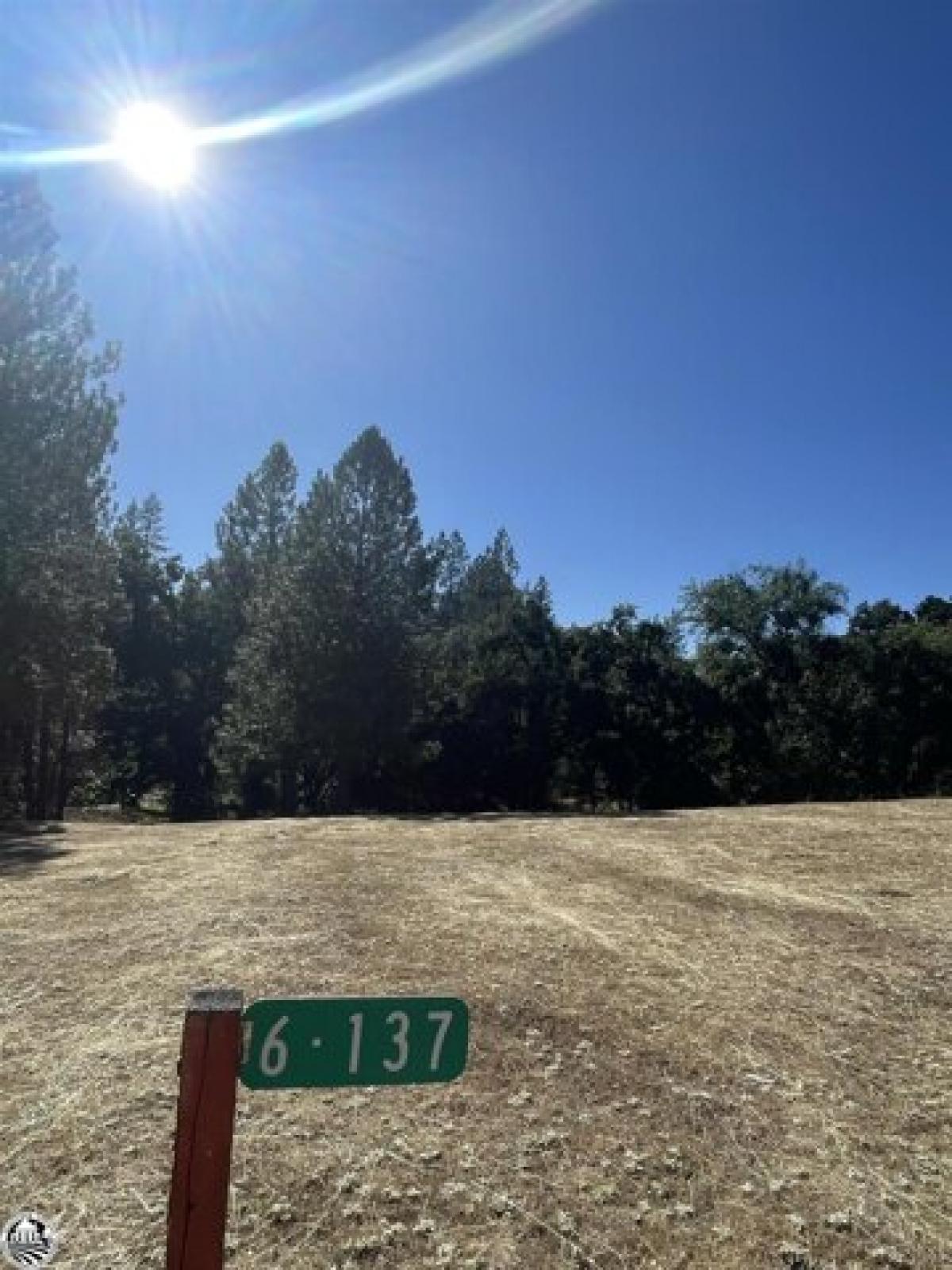 Picture of Residential Land For Sale in Groveland, California, United States