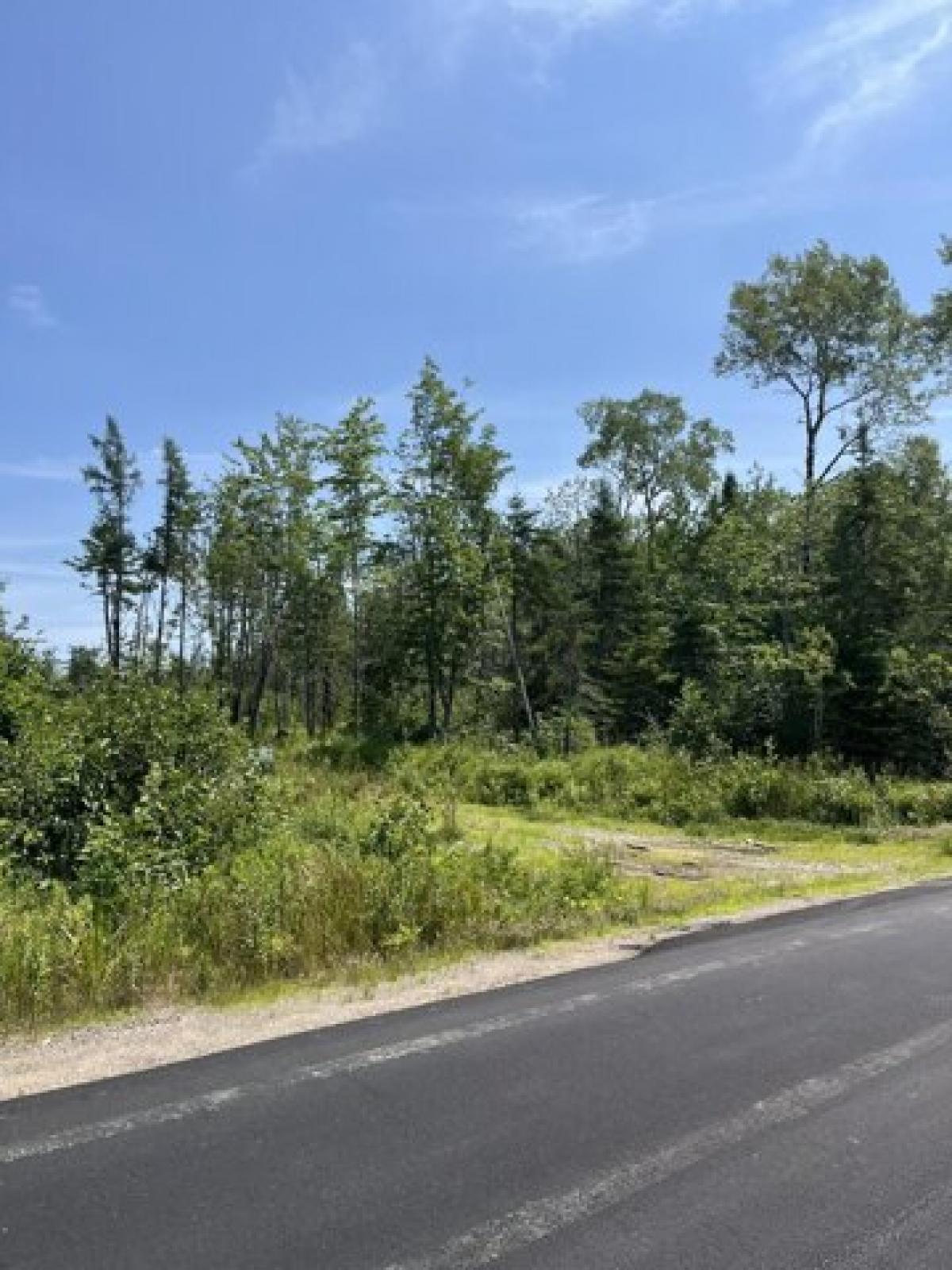 Picture of Residential Land For Sale in Pembroke, Maine, United States