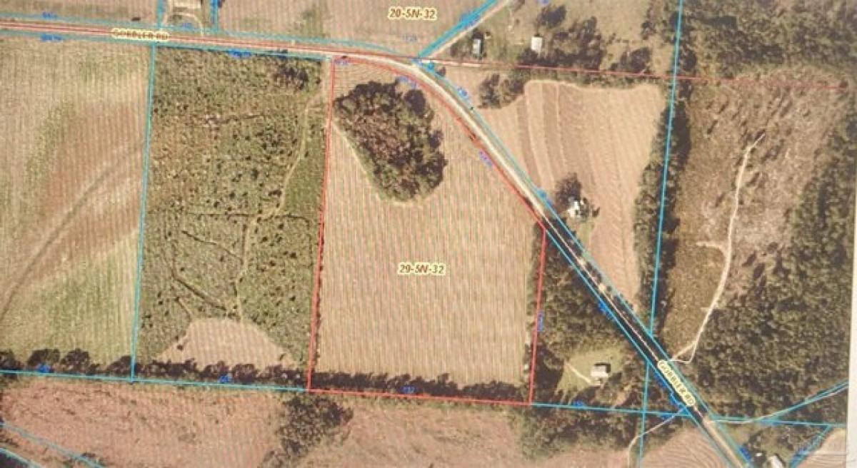 Picture of Residential Land For Sale in Century, Florida, United States