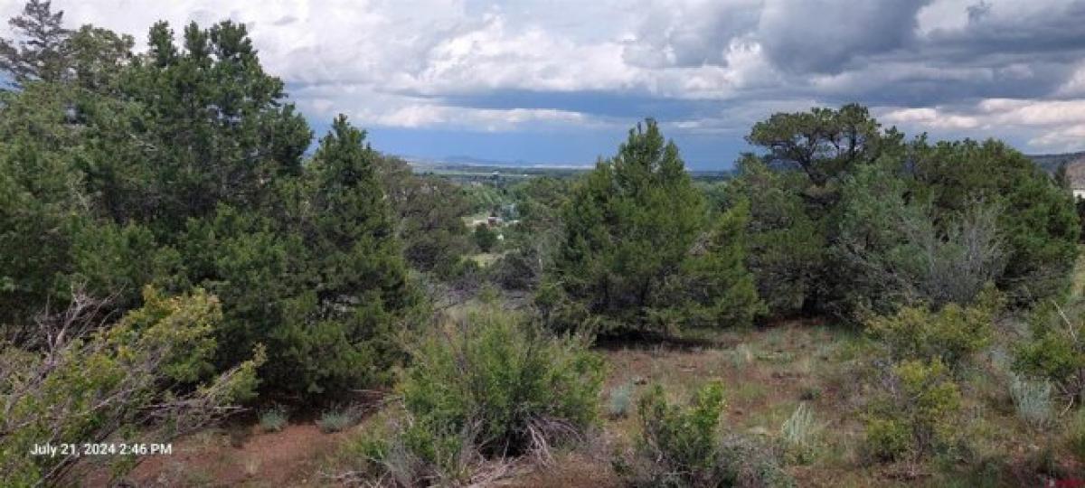 Picture of Residential Land For Sale in South Fork, Colorado, United States