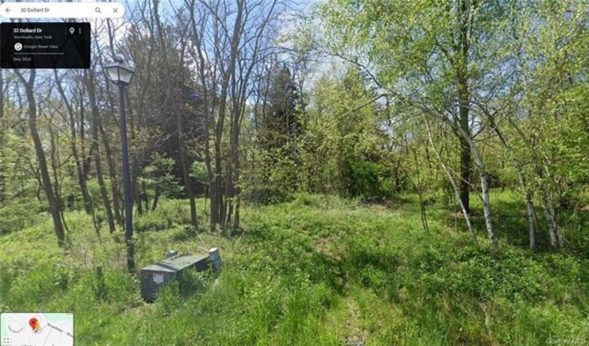 Picture of Residential Land For Sale in Monticello, New York, United States