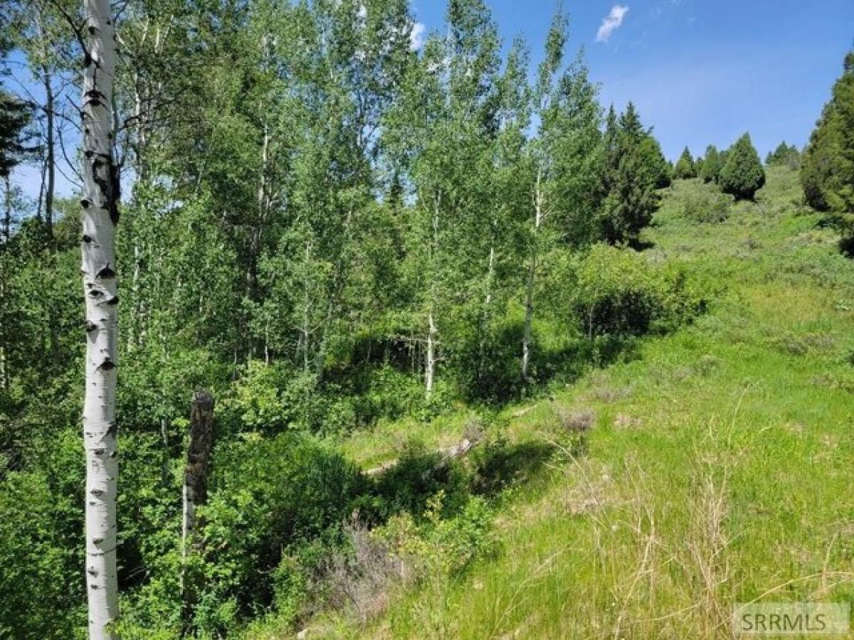 Picture of Residential Land For Sale in Irwin, Idaho, United States