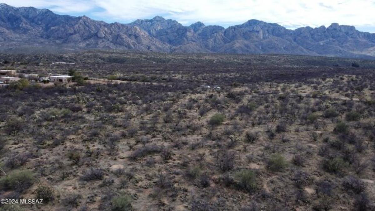 Picture of Residential Land For Sale in Catalina, Arizona, United States