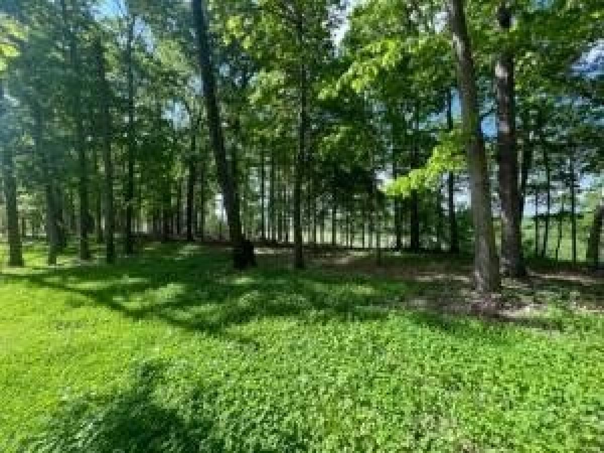 Picture of Residential Land For Sale in Ozark, Missouri, United States