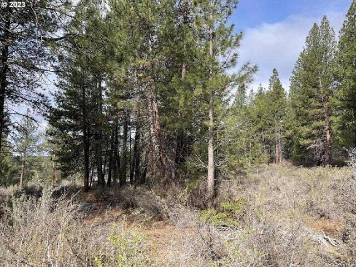 Picture of Residential Land For Sale in Chiloquin, Oregon, United States