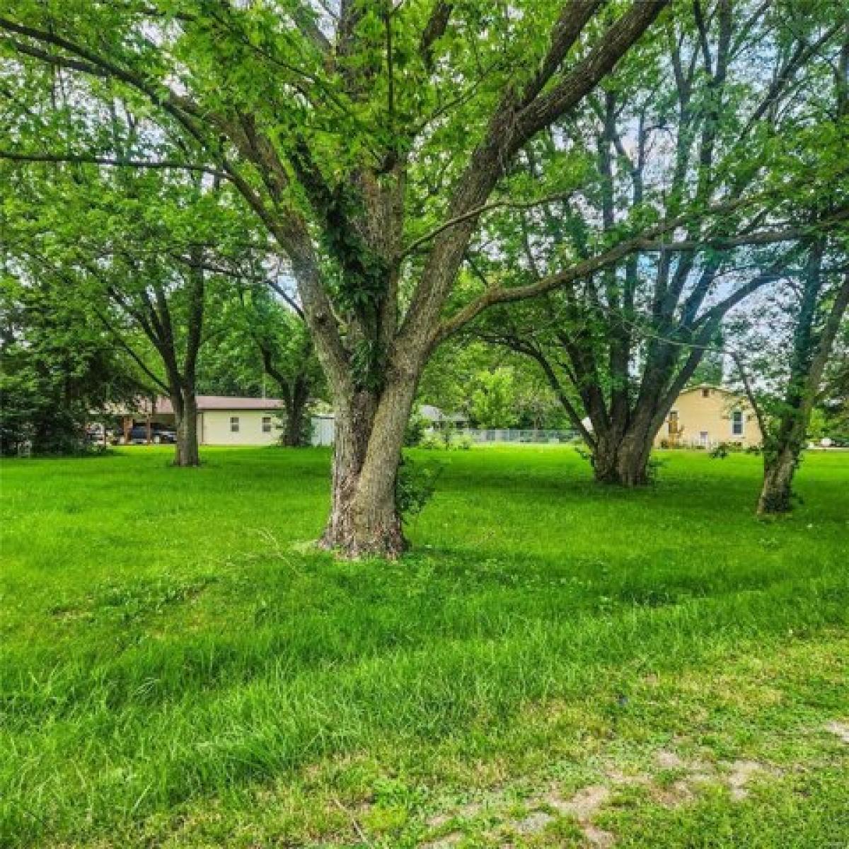 Picture of Residential Land For Sale in Wellsville, Missouri, United States