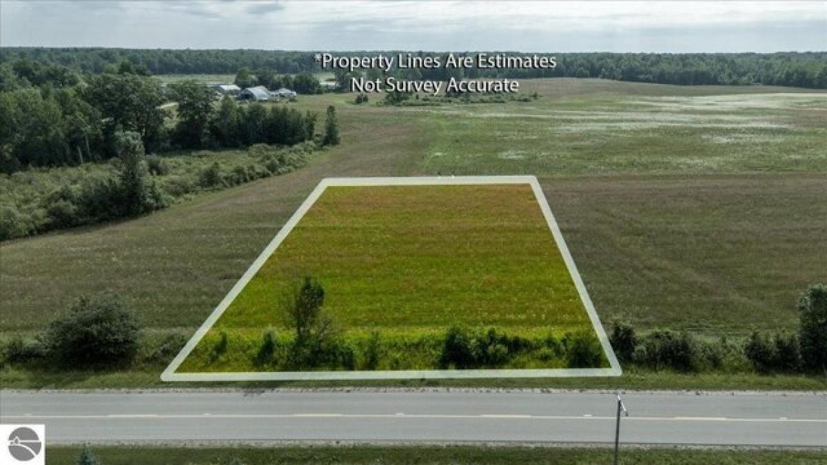 Picture of Residential Land For Sale in Hale, Michigan, United States