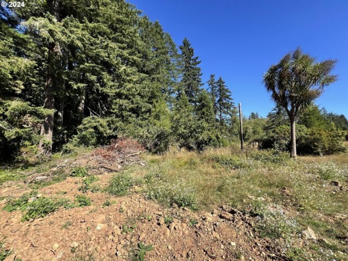 Picture of Residential Land For Sale in Brookings, Oregon, United States