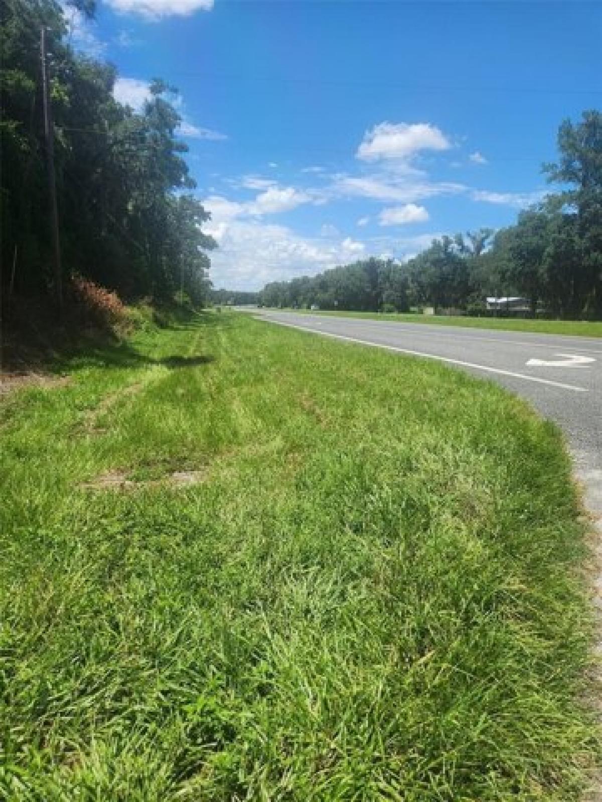 Picture of Residential Land For Sale in Belleview, Florida, United States