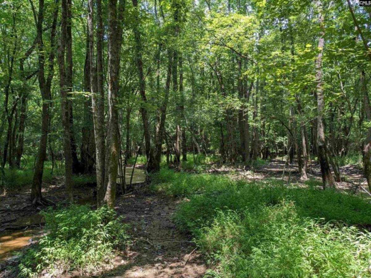 Picture of Residential Land For Sale in Jefferson, South Carolina, United States