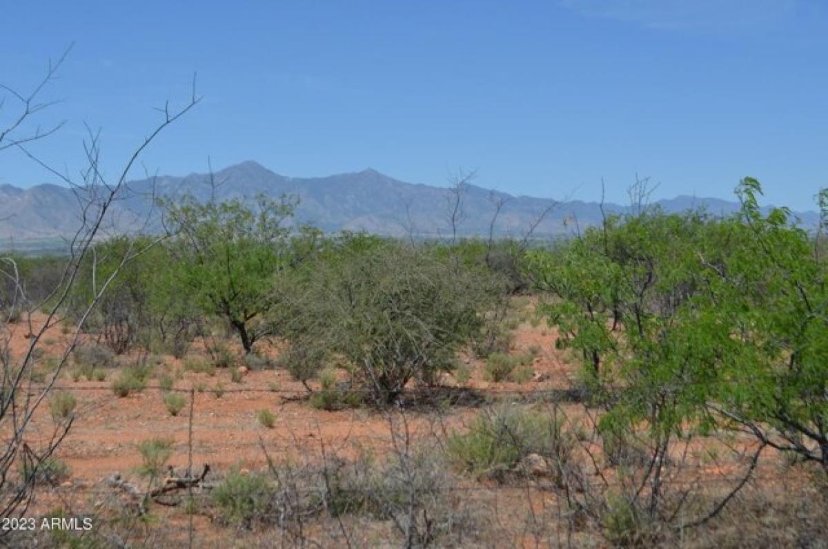 Picture of Residential Land For Sale in Bisbee, Arizona, United States