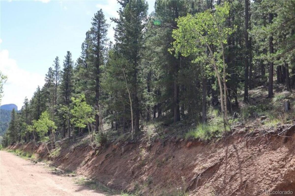 Picture of Residential Land For Sale in Bailey, Colorado, United States