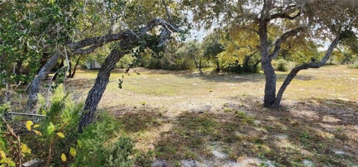 Picture of Residential Land For Sale in Aransas Pass, Texas, United States