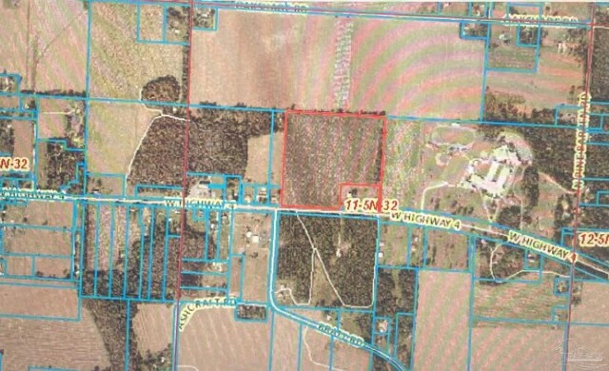 Picture of Residential Land For Sale in Century, Florida, United States