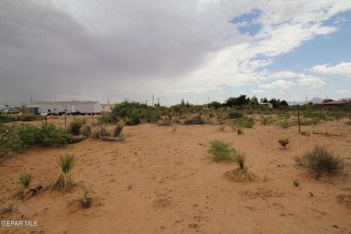 Picture of Residential Land For Sale in Chaparral, New Mexico, United States