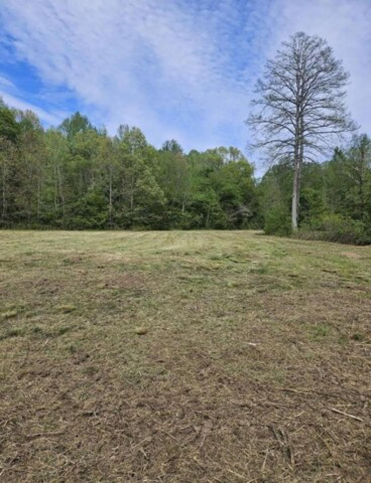 Picture of Residential Land For Sale in Toone, Tennessee, United States