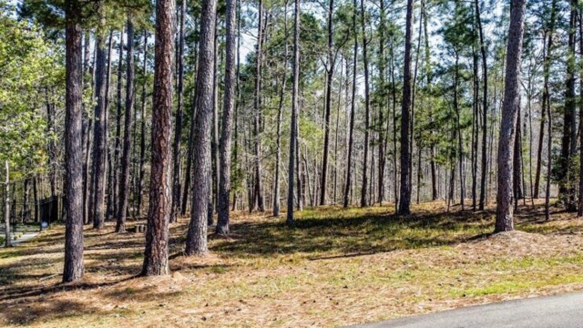 Picture of Residential Land For Sale in Mccormick, South Carolina, United States