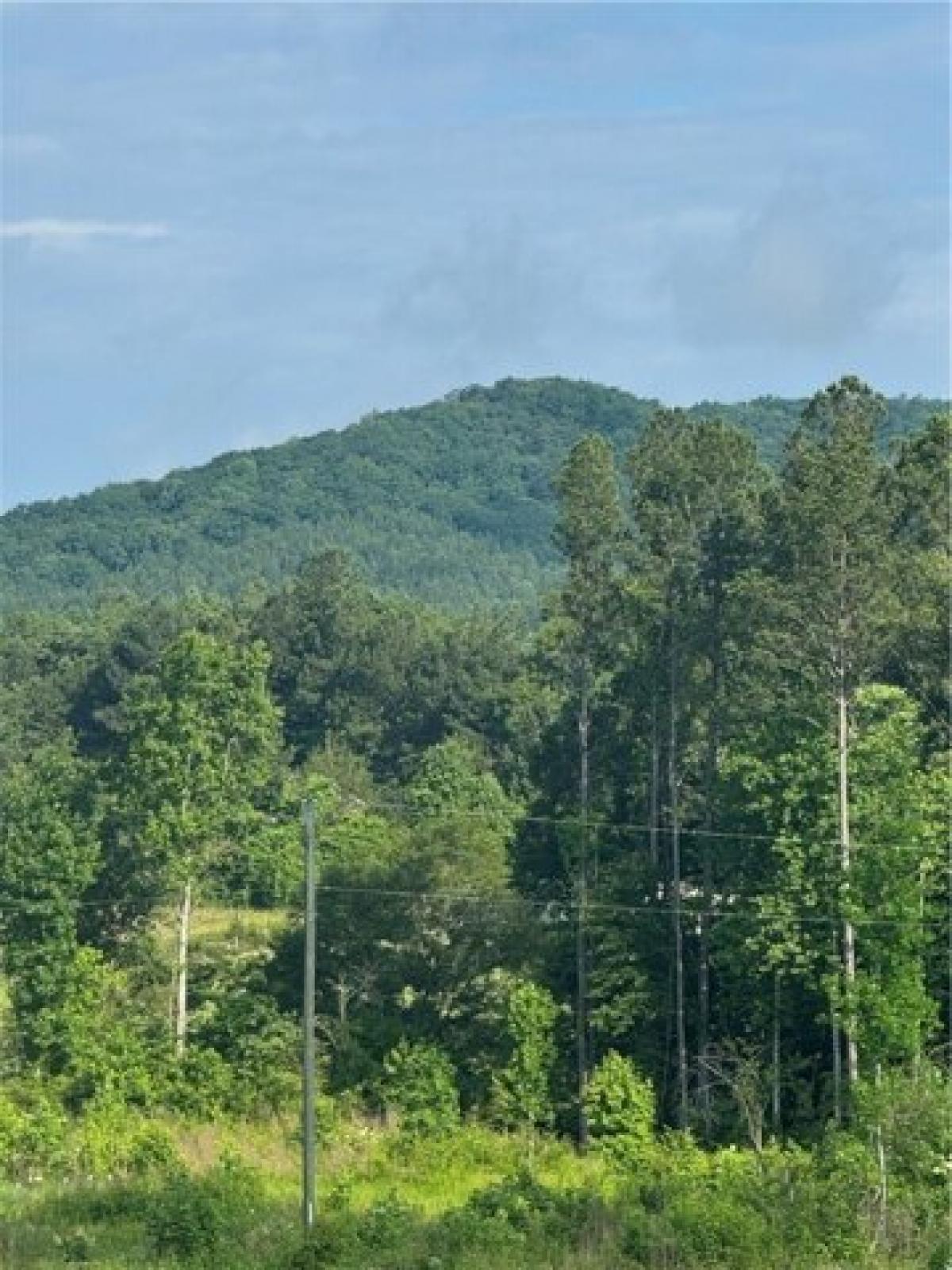 Picture of Residential Land For Sale in Easley, South Carolina, United States