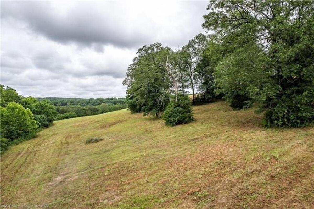 Picture of Residential Land For Sale in Cedarville, Arkansas, United States