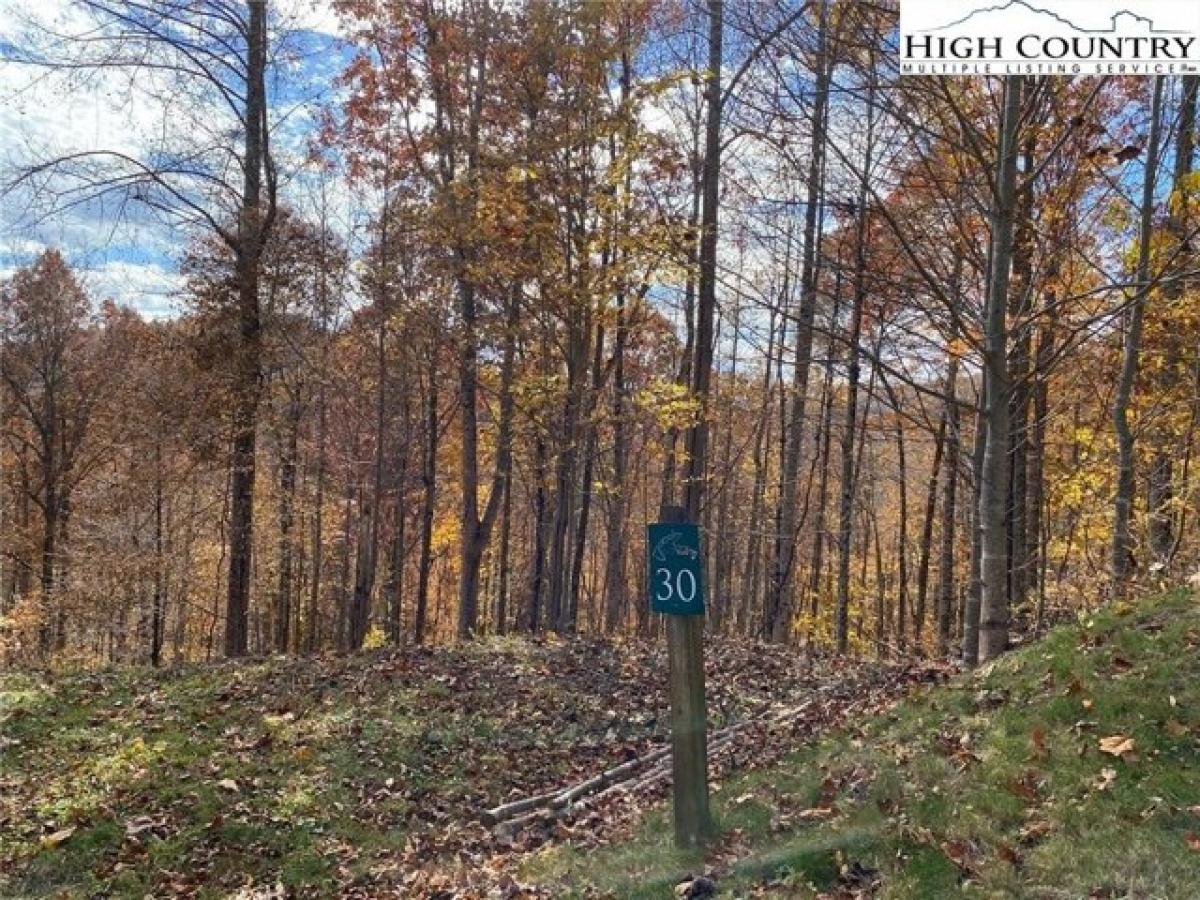 Picture of Residential Land For Sale in Todd, North Carolina, United States