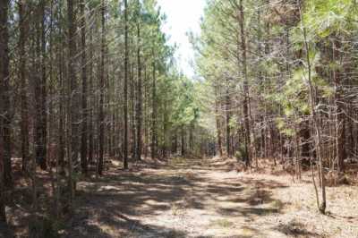 Residential Land For Sale in 