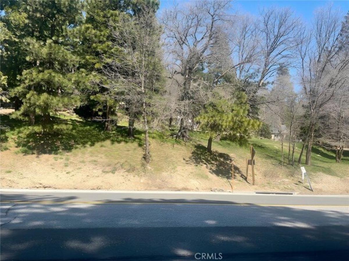 Picture of Residential Land For Sale in Rimforest, California, United States