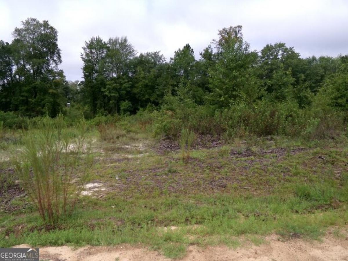 Picture of Residential Land For Sale in Swainsboro, Georgia, United States