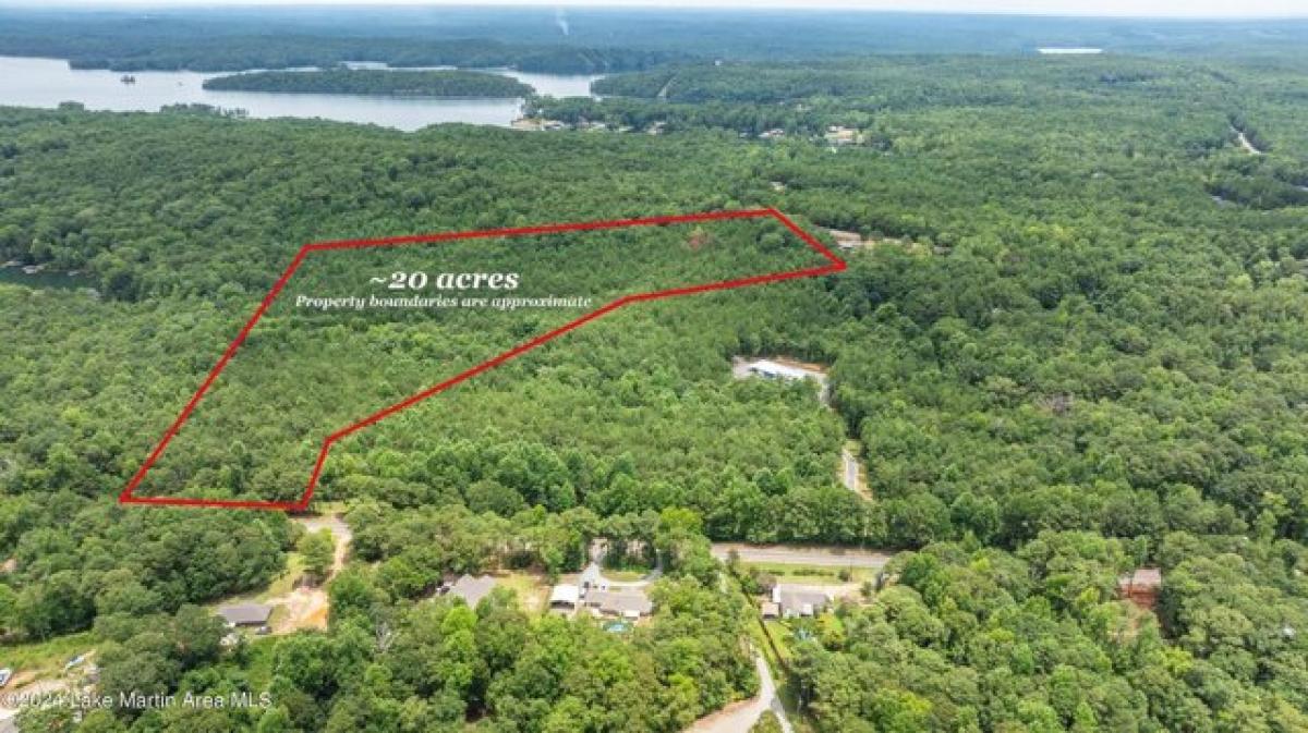 Picture of Residential Land For Sale in Eclectic, Alabama, United States