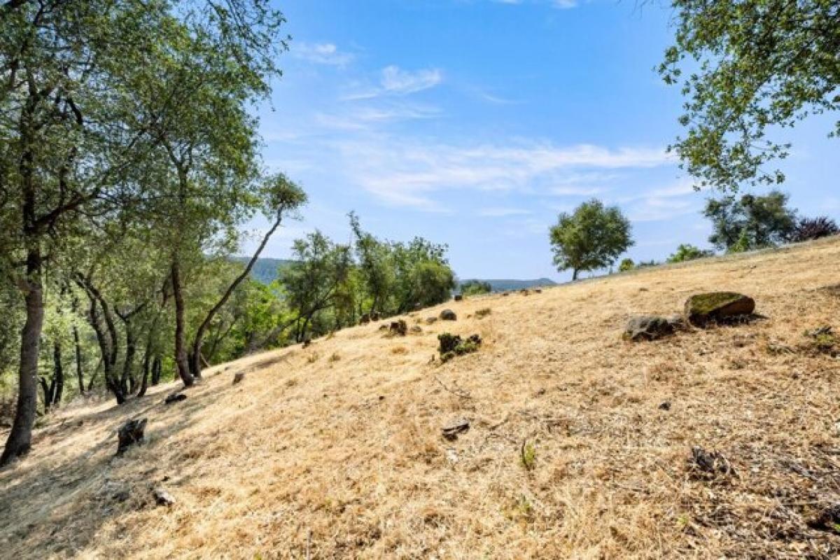 Picture of Residential Land For Sale in Auburn, California, United States