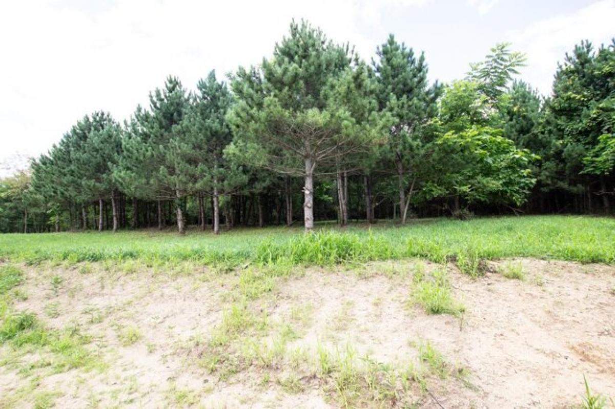 Picture of Residential Land For Sale in Dowagiac, Michigan, United States