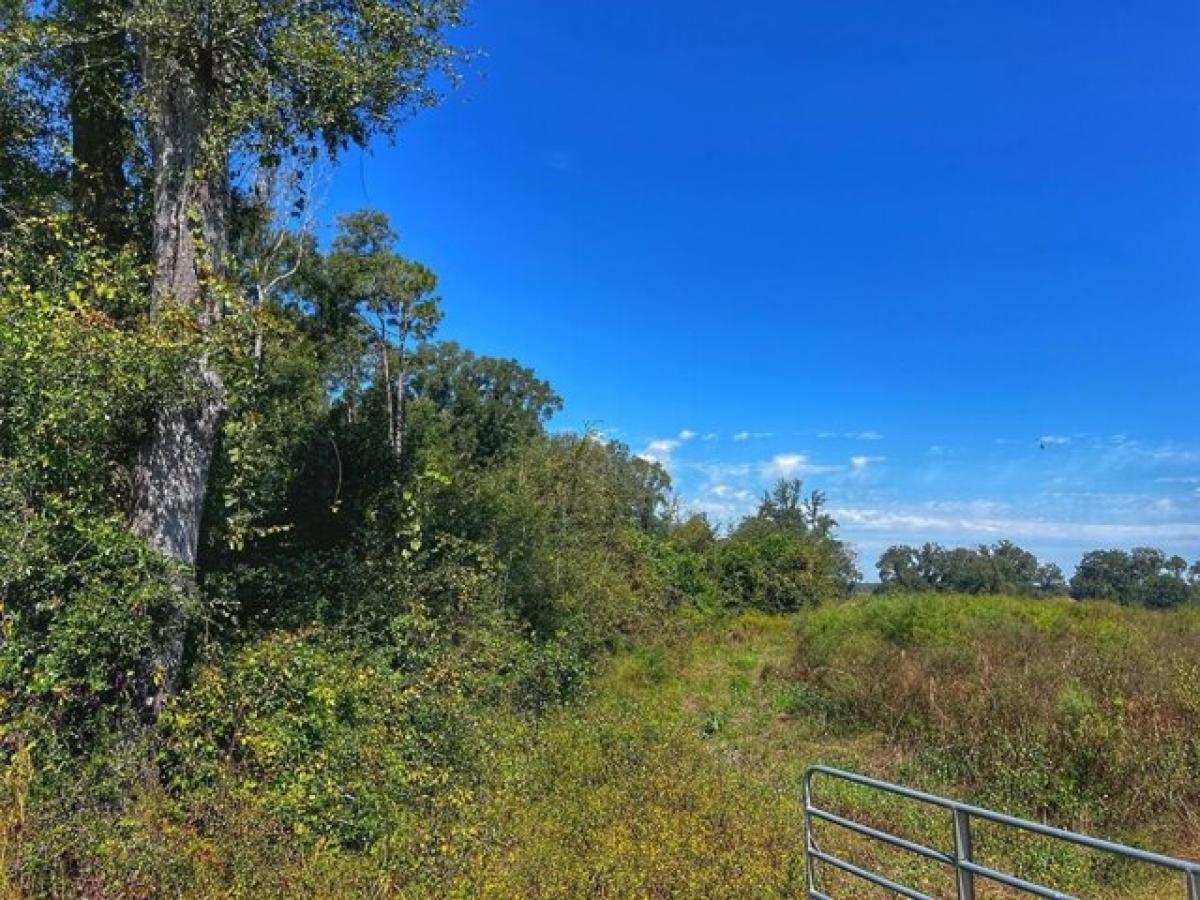 Picture of Residential Land For Sale in Branford, Florida, United States