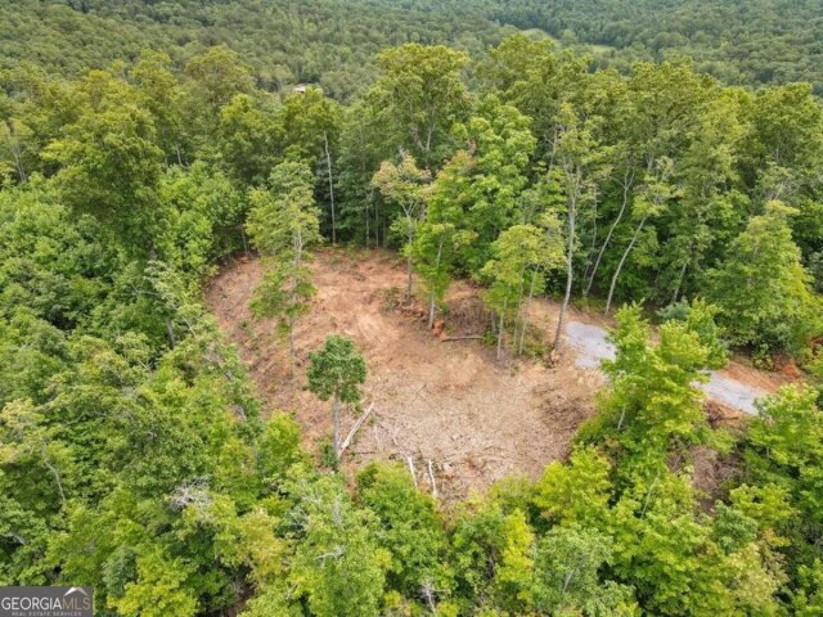 Picture of Residential Land For Sale in Hiawassee, Georgia, United States