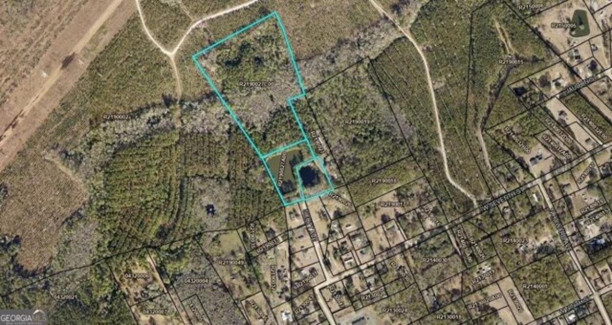 Picture of Residential Land For Sale in Rincon, Georgia, United States