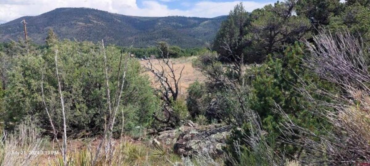 Picture of Residential Land For Sale in South Fork, Colorado, United States