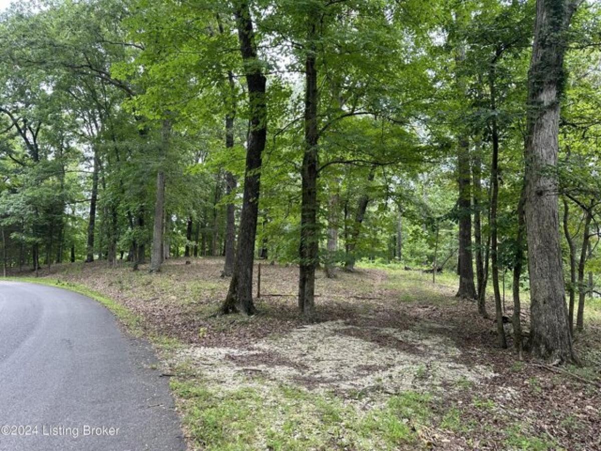 Picture of Residential Land For Sale in Brandenburg, Kentucky, United States