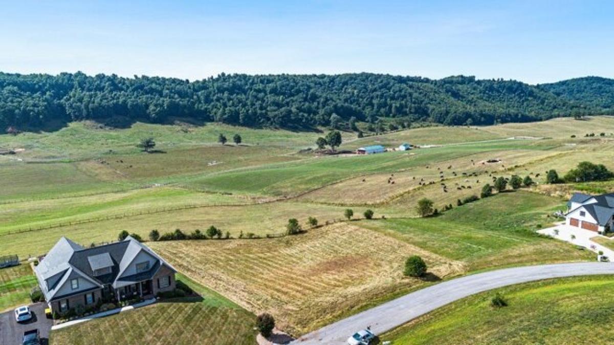 Picture of Residential Land For Sale in Abingdon, Virginia, United States