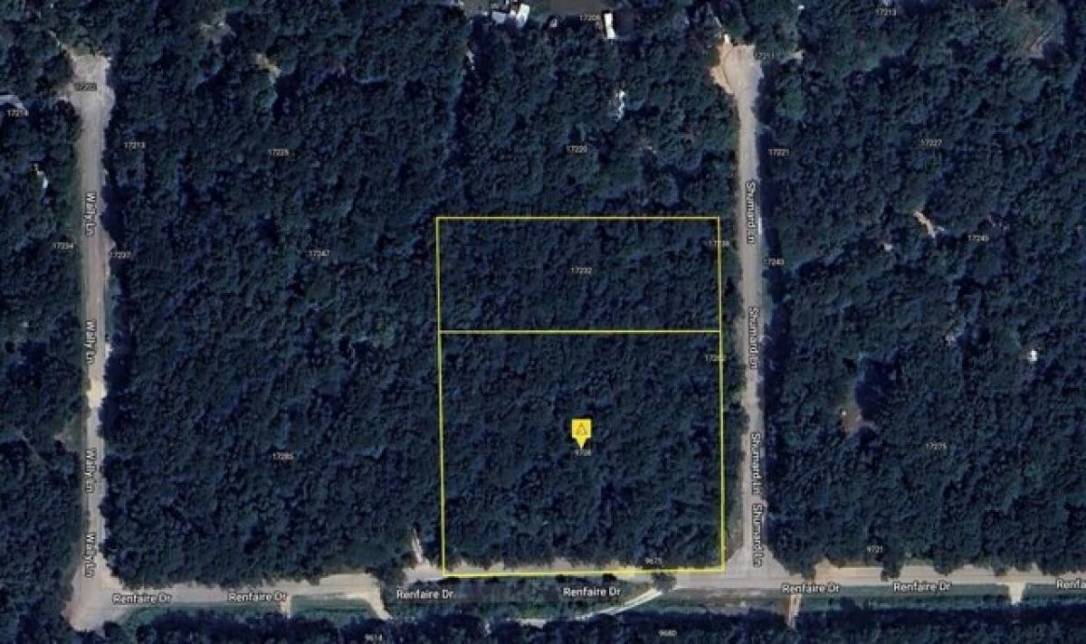 Picture of Residential Land For Sale in Plantersville, Texas, United States