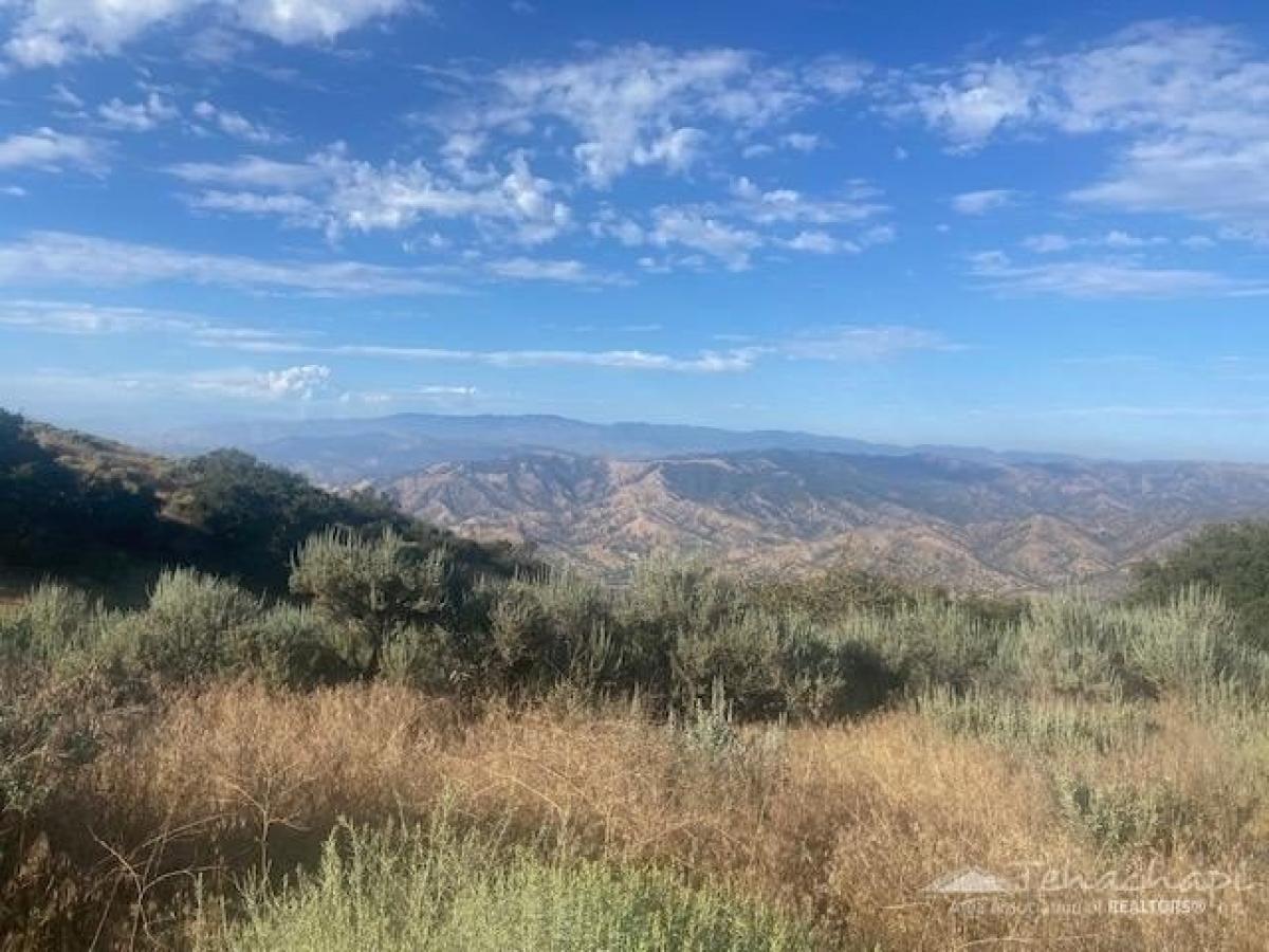 Picture of Residential Land For Sale in Tehachapi, California, United States