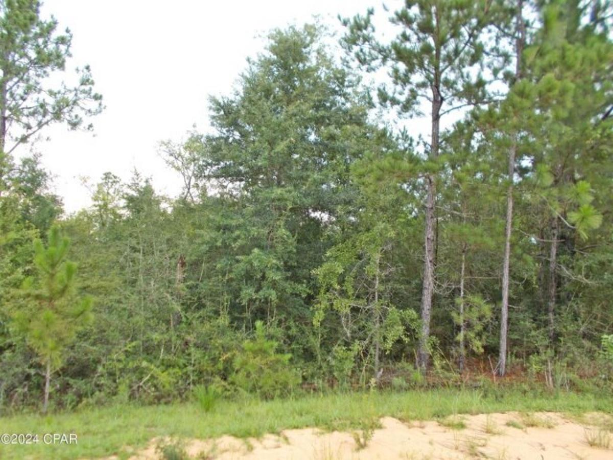 Picture of Residential Land For Sale in Marianna, Florida, United States