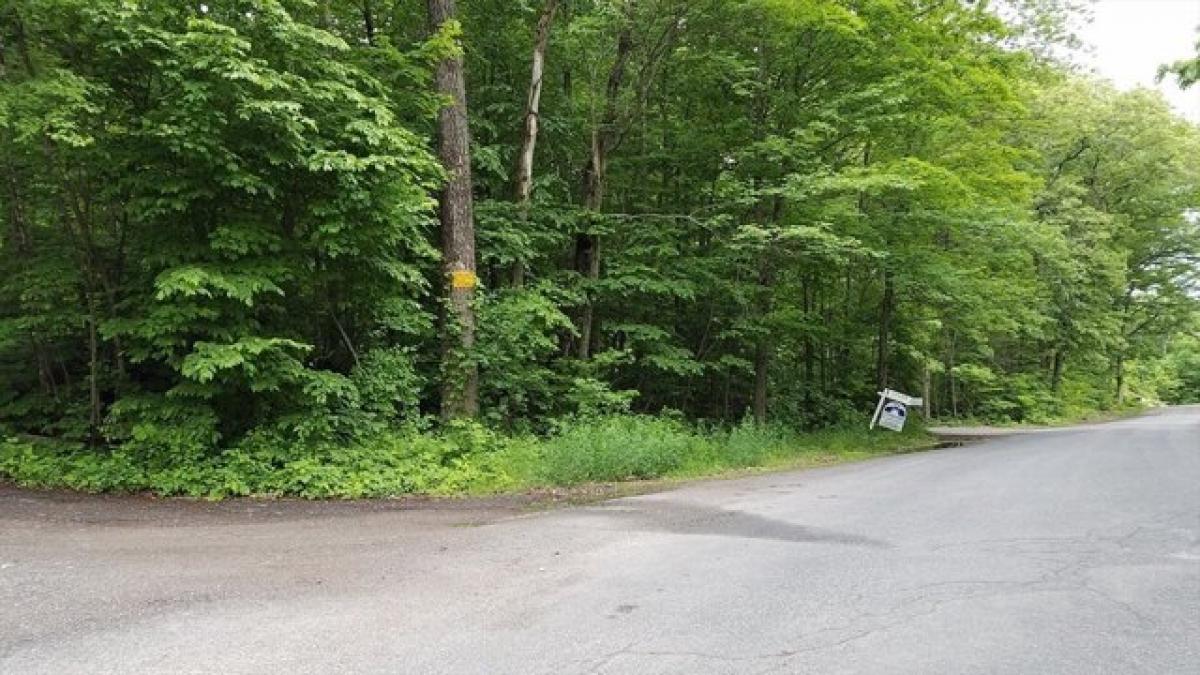 Picture of Residential Land For Sale in Hampden, Massachusetts, United States