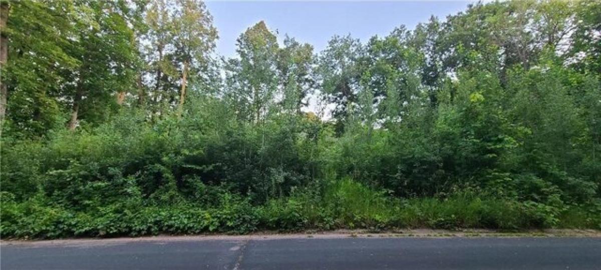 Picture of Residential Land For Sale in Buffalo, Minnesota, United States