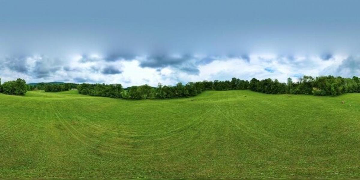 Picture of Residential Land For Sale in Glade Spring, Virginia, United States