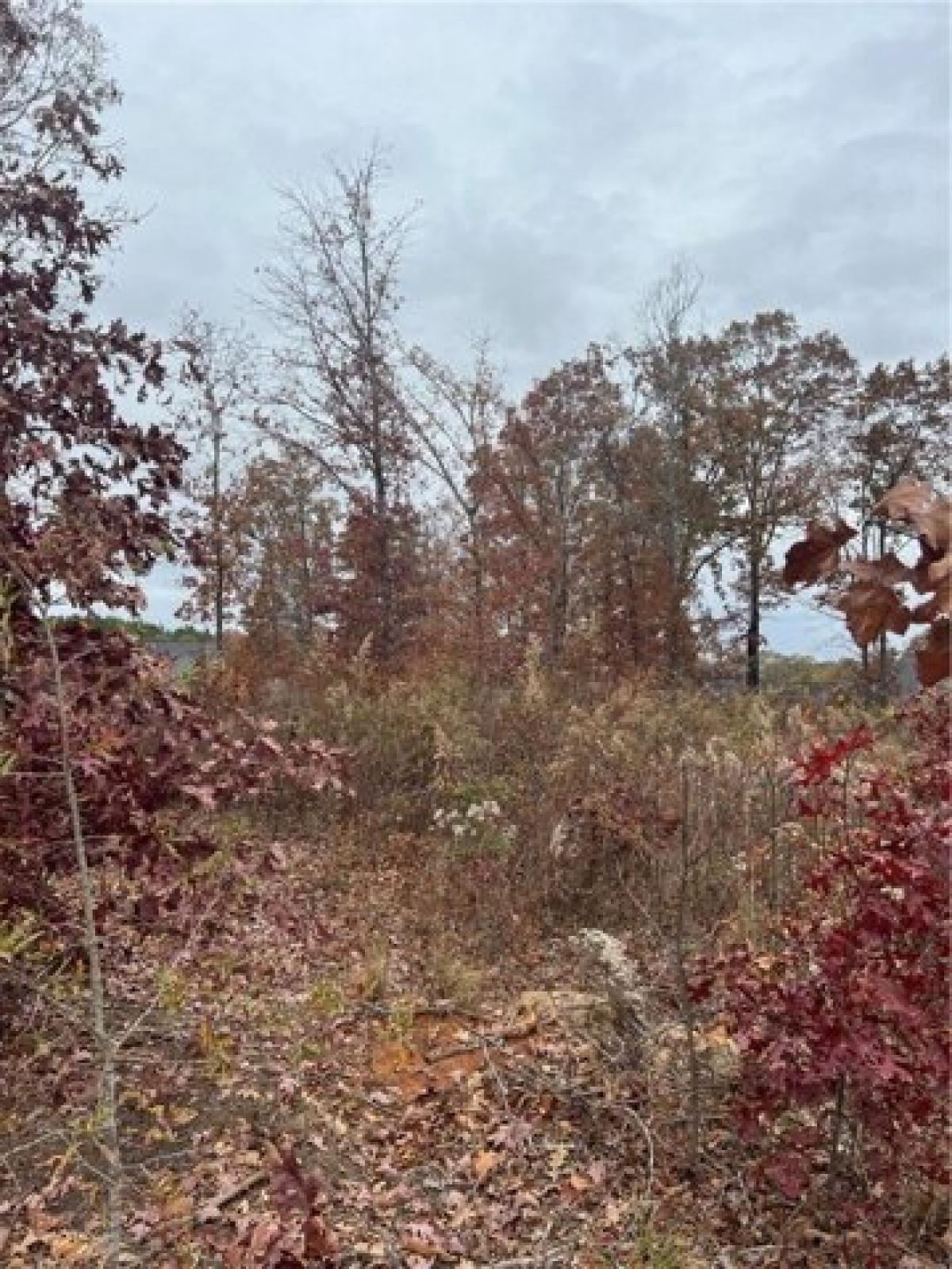 Picture of Residential Land For Sale in Easley, South Carolina, United States