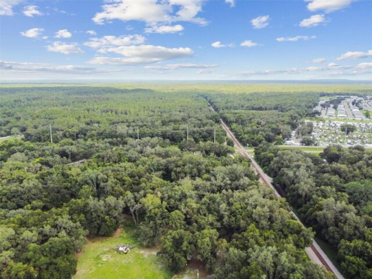 Picture of Residential Land For Sale in Zephyrhills, Florida, United States