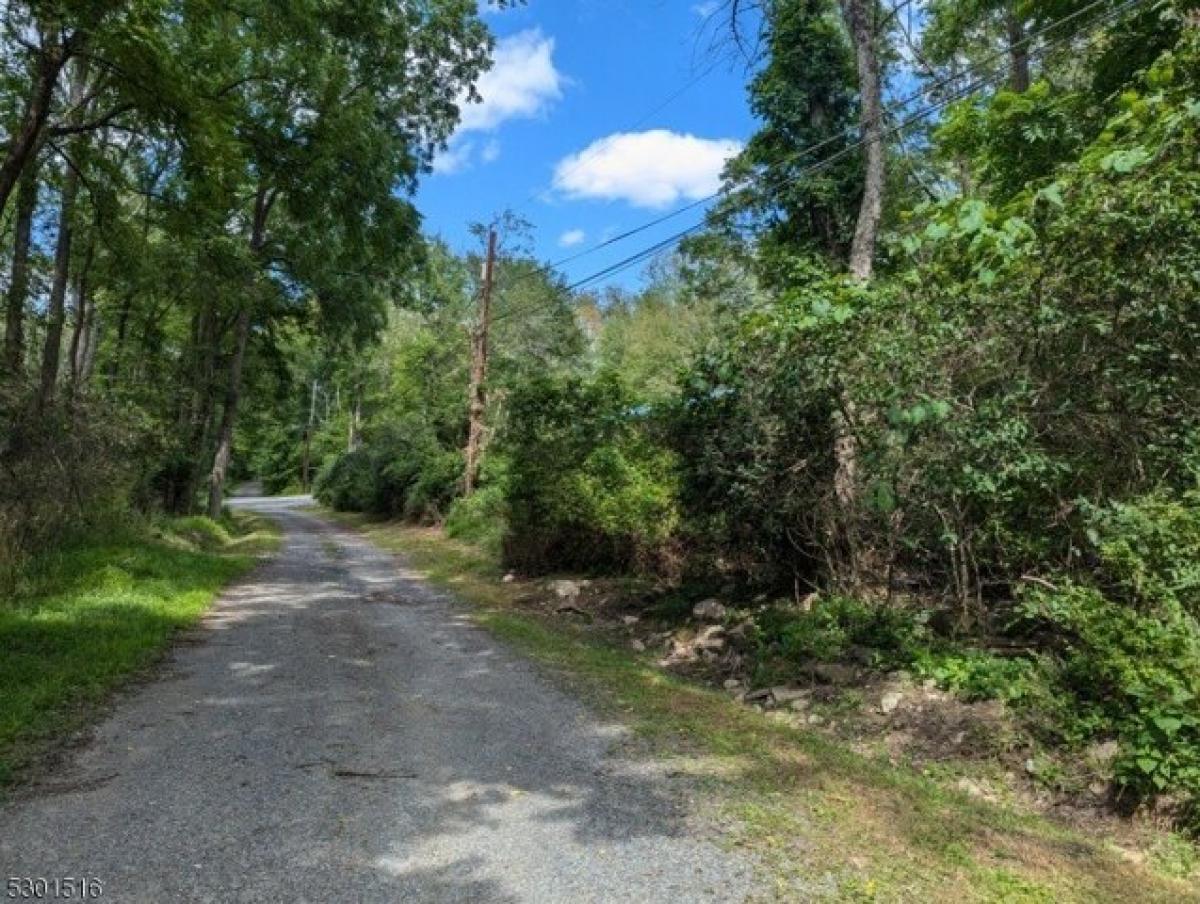 Picture of Residential Land For Sale in Montague, New Jersey, United States