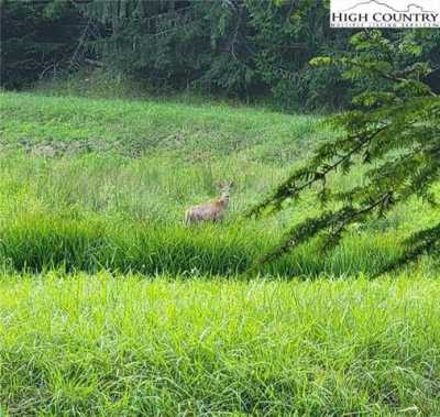 Residential Land For Sale in Piney Creek, North Carolina