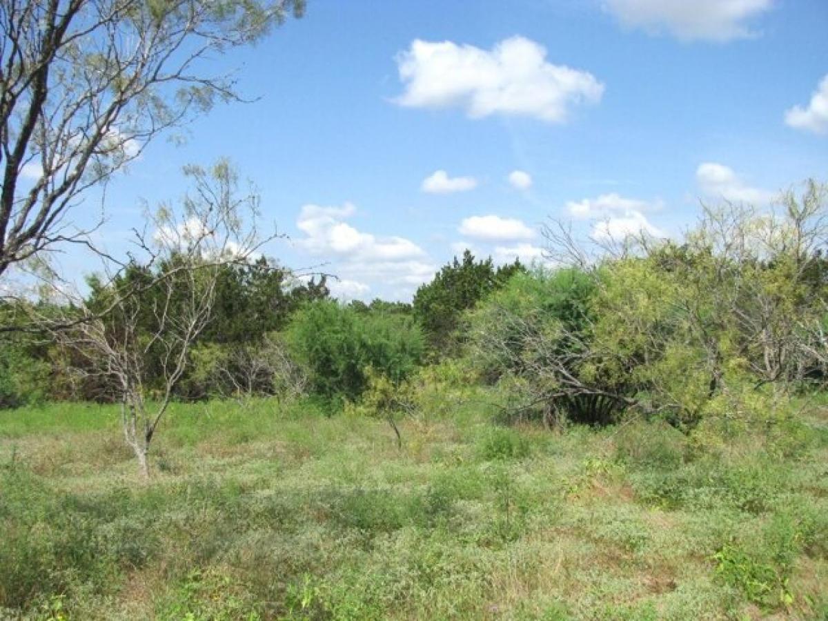 Picture of Residential Land For Sale in Evant, Texas, United States