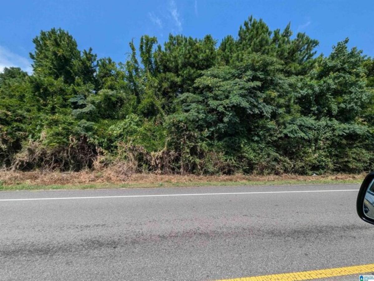 Picture of Residential Land For Sale in Anniston, Alabama, United States