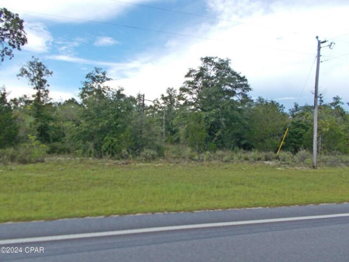 Picture of Residential Land For Sale in Marianna, Florida, United States