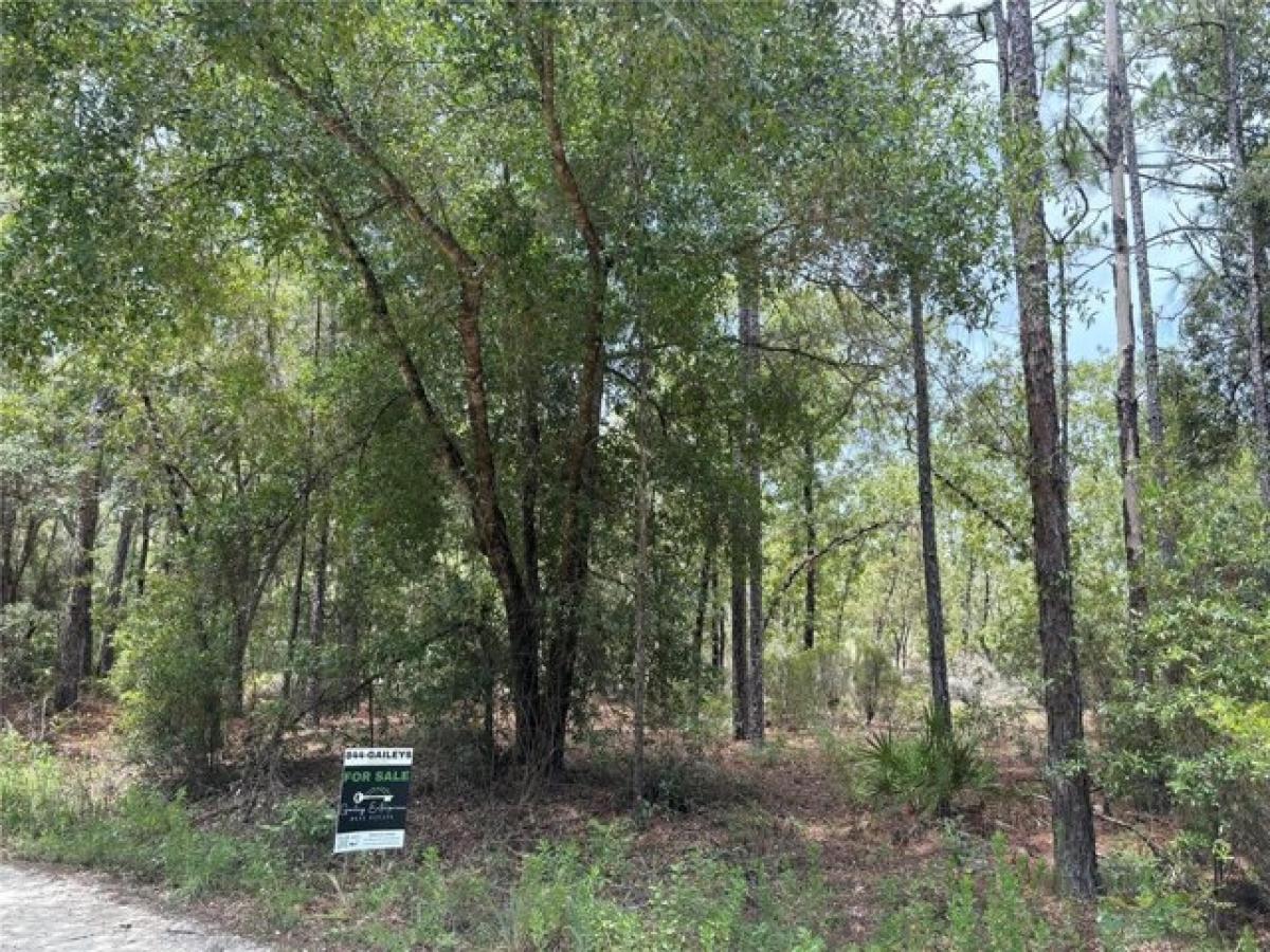 Picture of Residential Land For Sale in Williston, Florida, United States